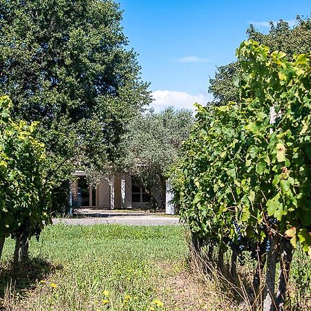 Au Detour Des Vignes Bed and Breakfast Ordonnac Exteriör bild