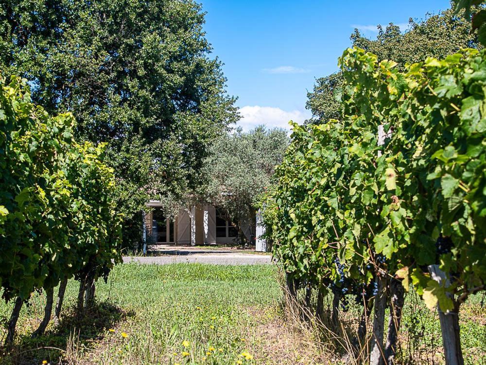 Au Detour Des Vignes Bed and Breakfast Ordonnac Exteriör bild